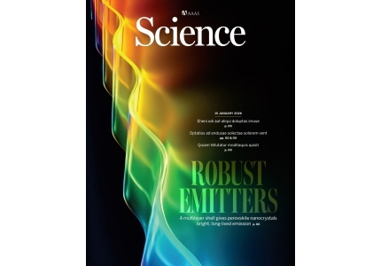 Professor Tae-Woo Lee's research group develops groundbreaking perovskite display technology demonstrating the highest efficiency and industry-level operational lifetime