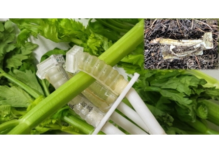 A Robot That Endures Over One Million Uses—Then Becomes Compost to Nourish Plants