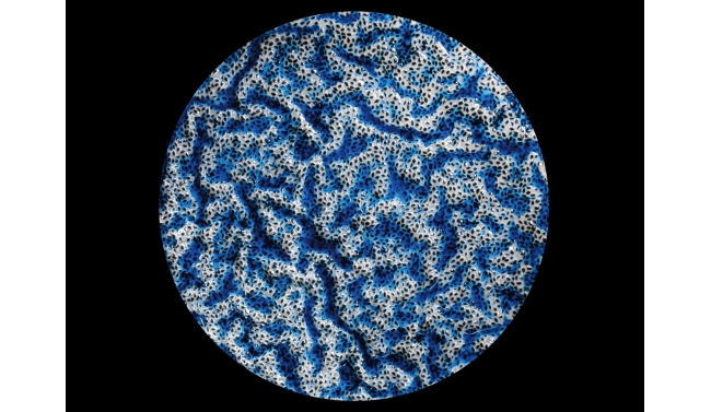 서울공대 기계공학부 김호영 교수팀, 미국물리학회 주관 APS Gallery of Soft Matter 수상