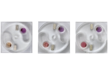 전기정보공학부 권성훈 교수팀, 단 하루 만에 의약품 무균 여부 판별하는 신속 검사법 개발