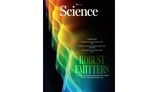 서울공대 재료공학부 이태우 교수팀, 세계 최고 효율과 상업화 수준 동작 수명의 혁신적 페로브스카이트 디스플레이 기술 개발