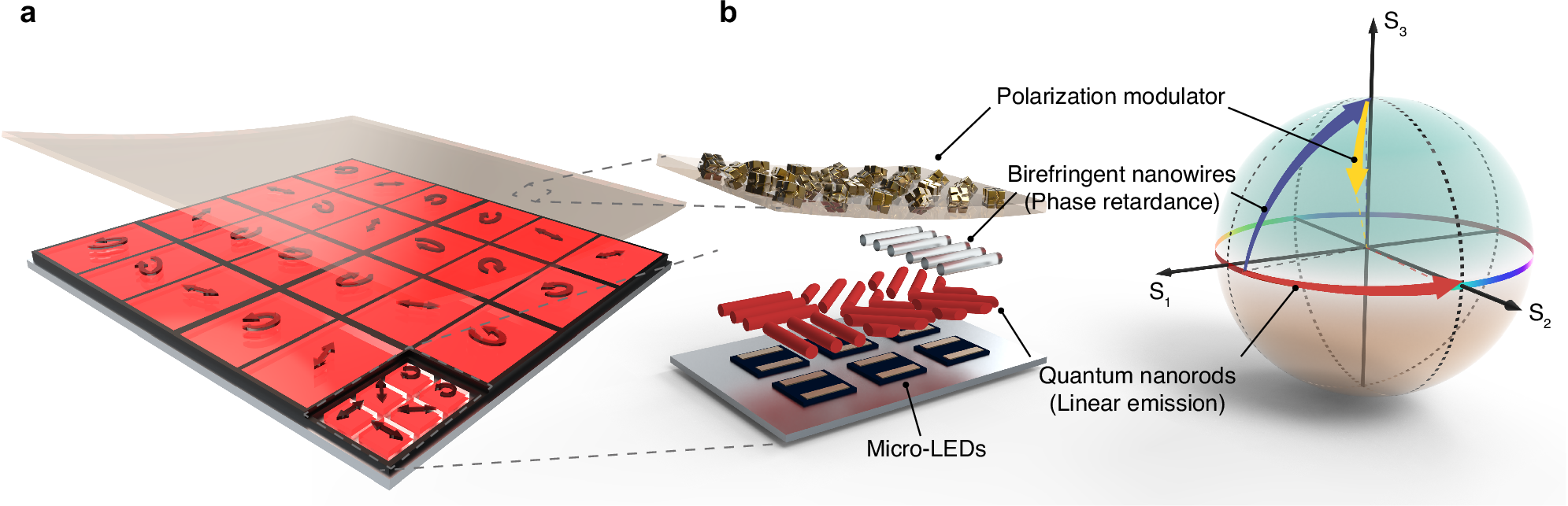 Polarization modulator Biredfringent nanowires(Phase retardance) Quantum nanorods(Linear emission) Micro-LEDs