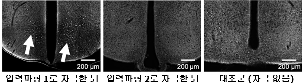 (이미지3)