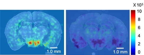 (Figure 4)