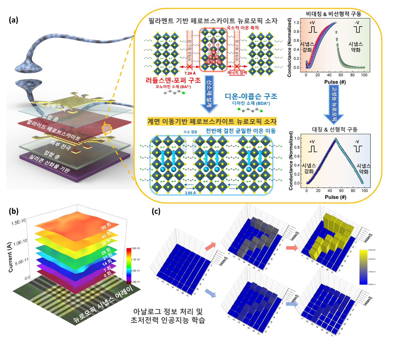 (a) 필라멘트 기반 페로브스카이트 뉴로모픽 소자 국소적 이온 축적 반데르 발스 컵 러들스텐-포터 구조 모노아민 소재(BA2+) 국소적 이온축적 에너지 장벽 신소재 설계 디온-야콥슨 구조 디아민 소재(BDA+) 계면 이동기반 페로브스카이트ㅡ 뉴로모픽 소자 수소결합 전반에 걸친 균일한 이온 이동 비대칭 & 비선형적 구동 시냅스 강화 시냅스 약화 Pulse(#) 고성능 뉴로모픽 대칭&선형적 구동 Conductance(Normalized) 1.0 0.8 0.6 0.4 0.2 0.0 시냅스 강화 시냅스 약화 Pulse(#) (b) Current(a) 1.5E-10 1.0E-10 5.1E-11 0.0 50회 42회 35회 28회 21회 14회 7회 0회 뉴로모픽 시냅스 어레이 (C) 아날로그 정보 처리 및 초저전력 인공지능 학습