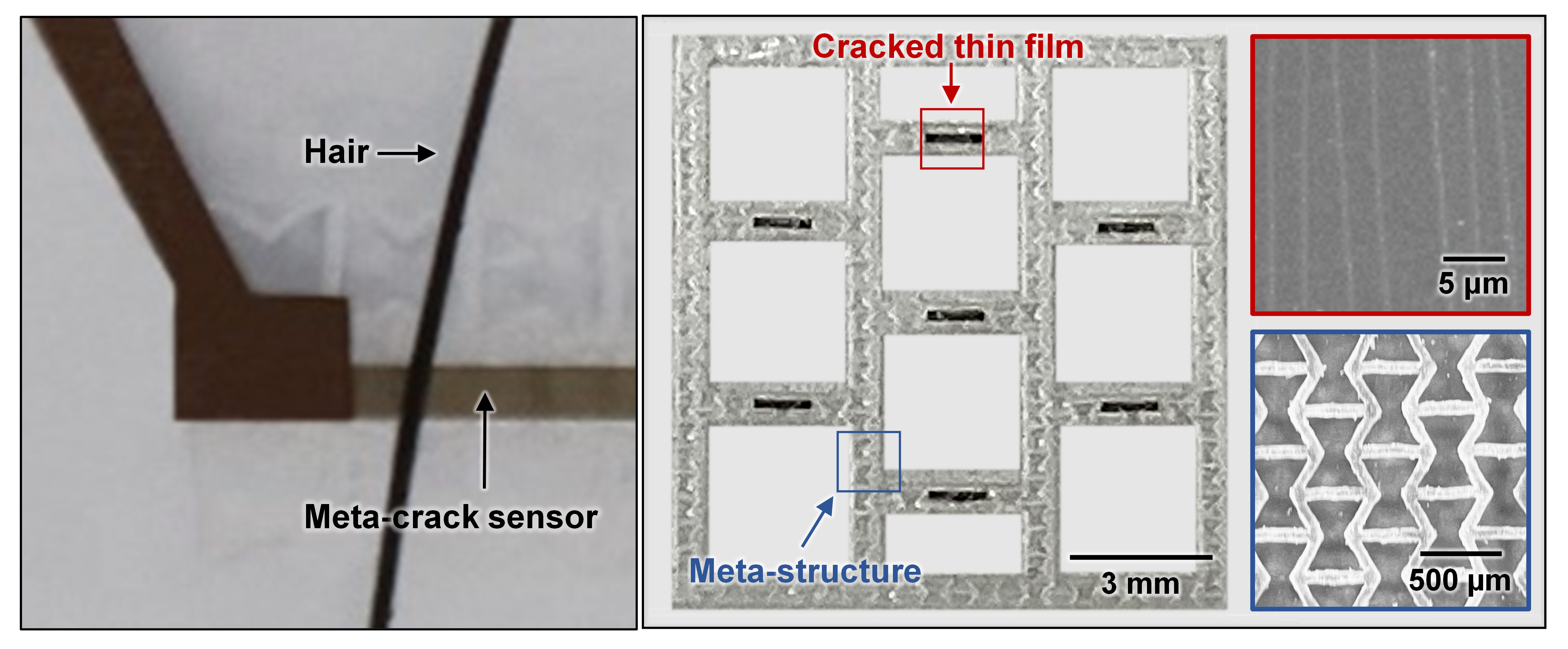 Figure 1(영문)