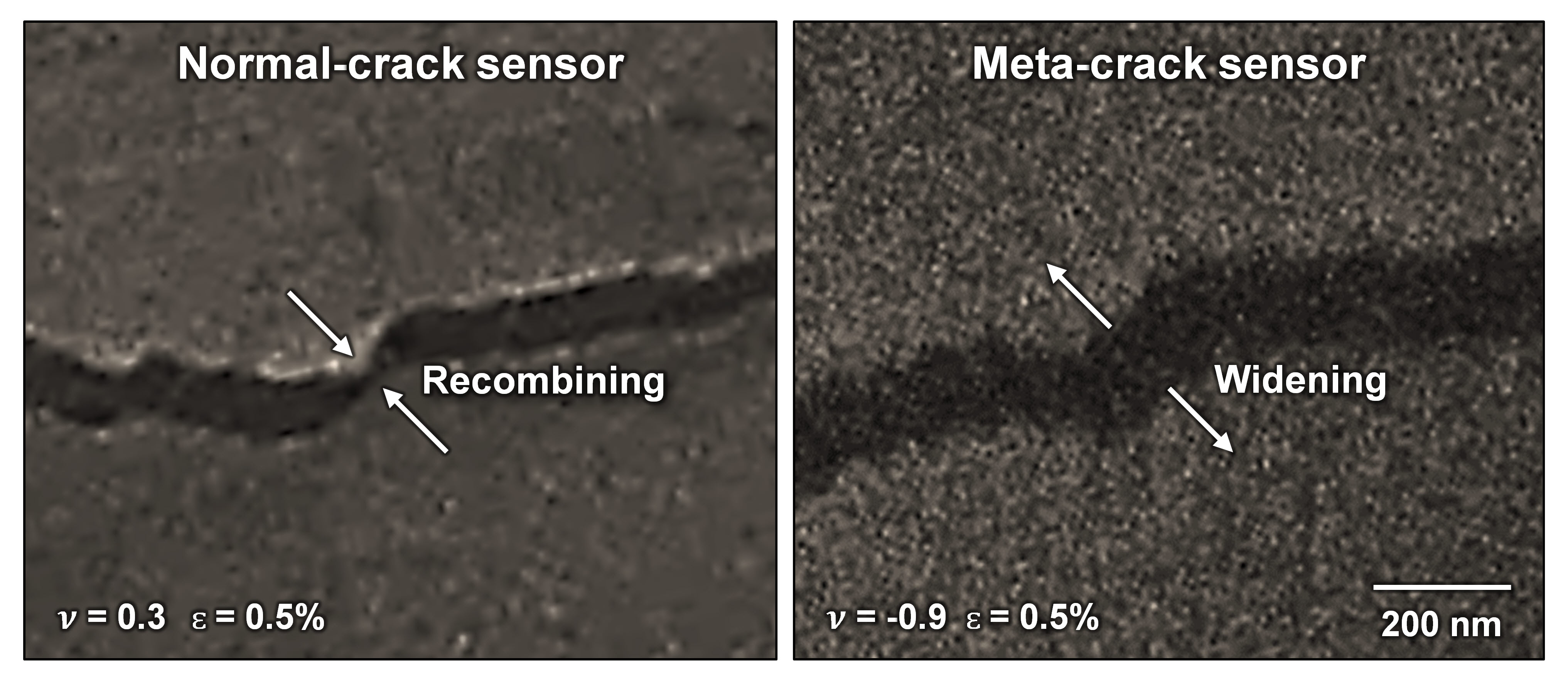 Figure 2(영문)