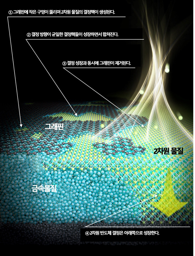 모식도 한글 버전_동아일보