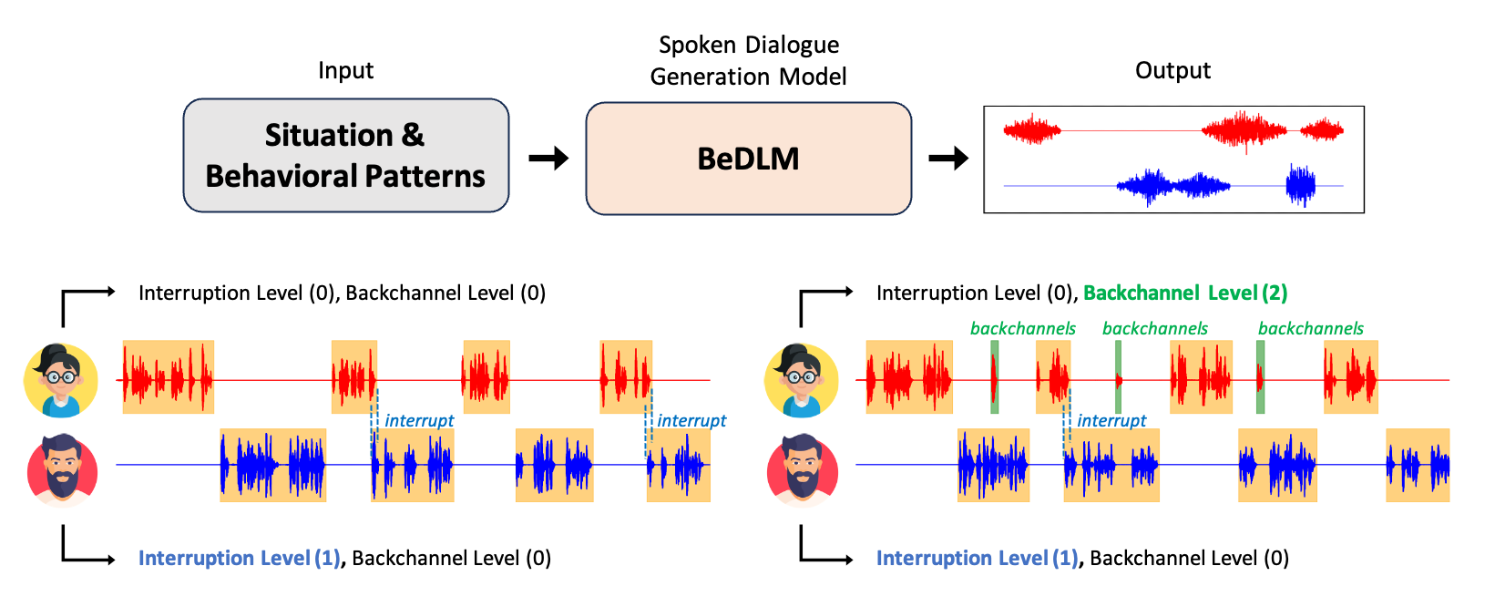 BeDLM_eng