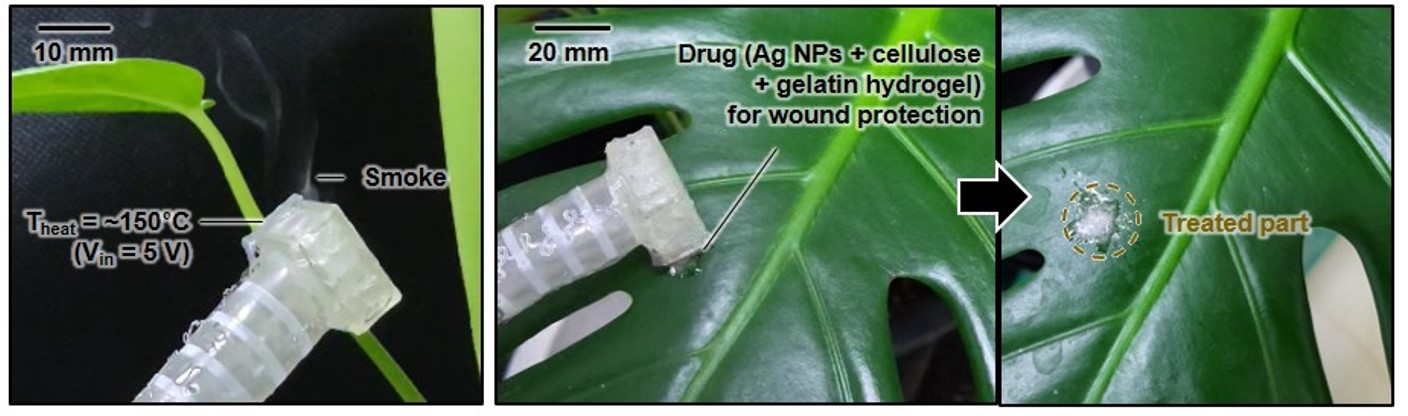Fig. 2