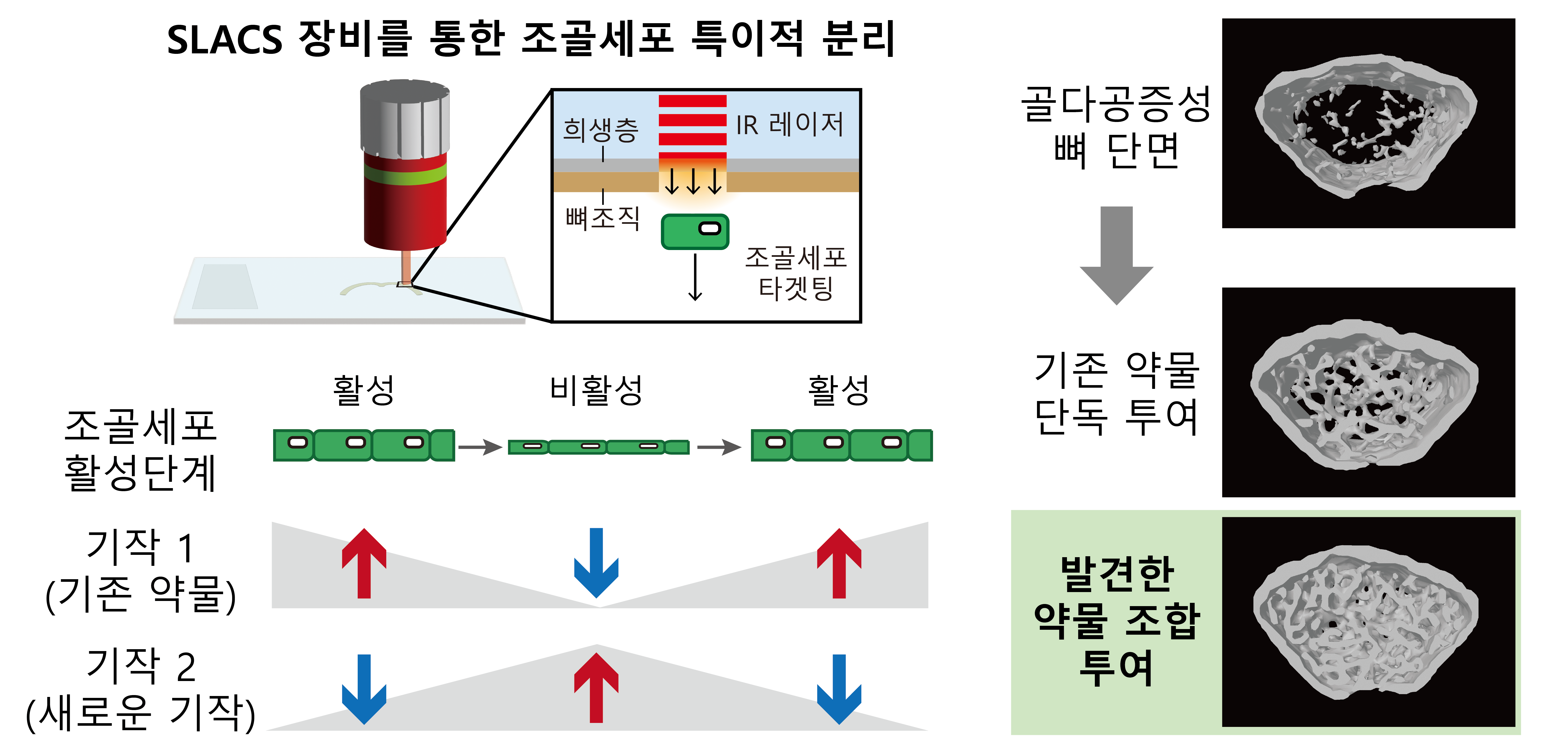 이미지 자료