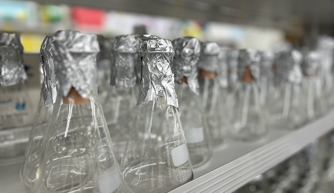 서울대 공대 화학생물공학부 서상우 교수팀, RNA 타겟팅 CRISPR-dCas13 기반 유전자 번역 다수준 조절 시스템 개발