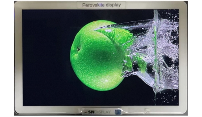 Professor Tae-Woo Lee's research Team Develops Mass Production Technology for Ultra-High Color Purity Perovskite Emitters