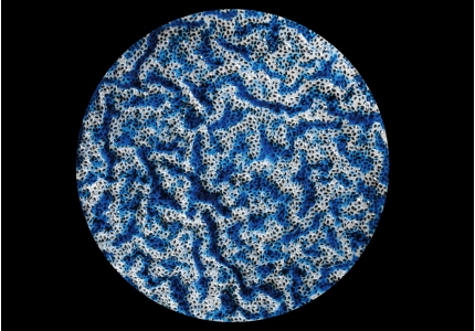 SNU Prof. Ho-Young Kim’s Team Wins APS Gallery of Soft Matter Award