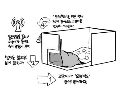 묘한 상자