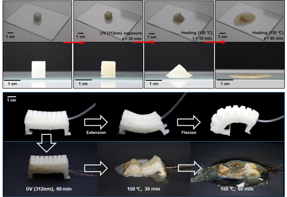 능동 분해성 연성재료의 설계 및 응용
