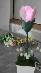 빛과 음악으로 상호작용하는 노인 돌봄 식물 로봇