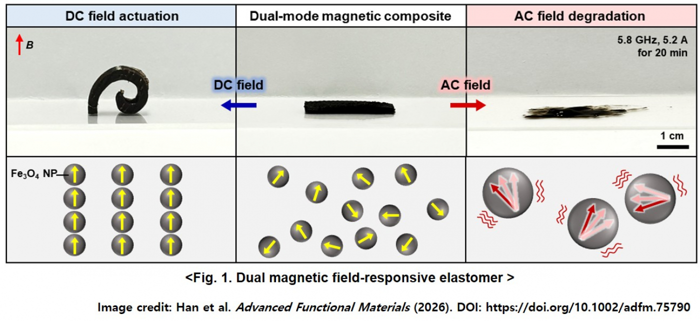 Fig.1_ImageCredit