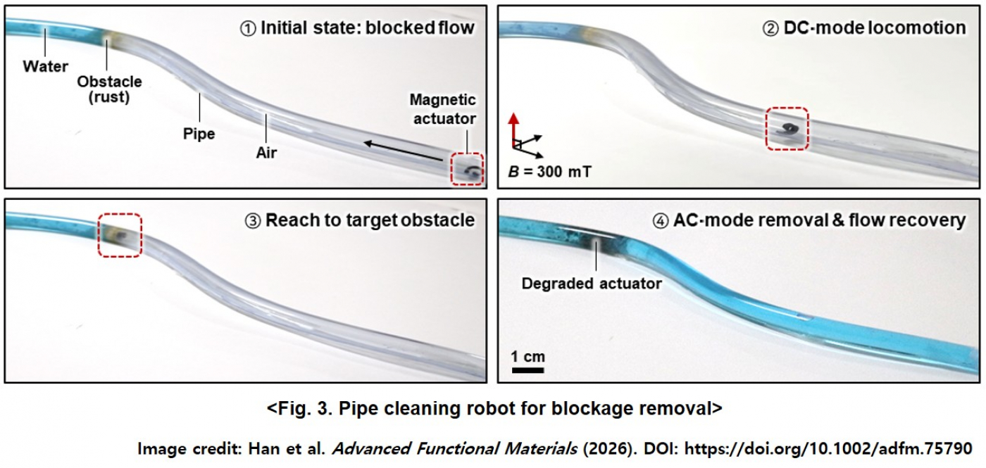 Fig.3_ImageCredit