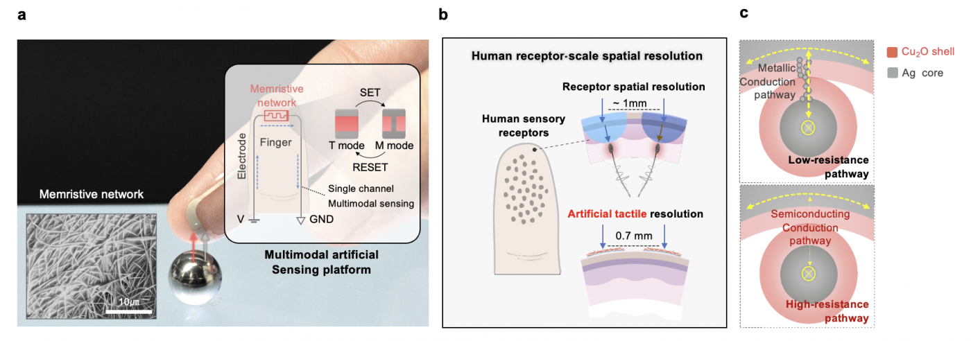 Figure 1_영문