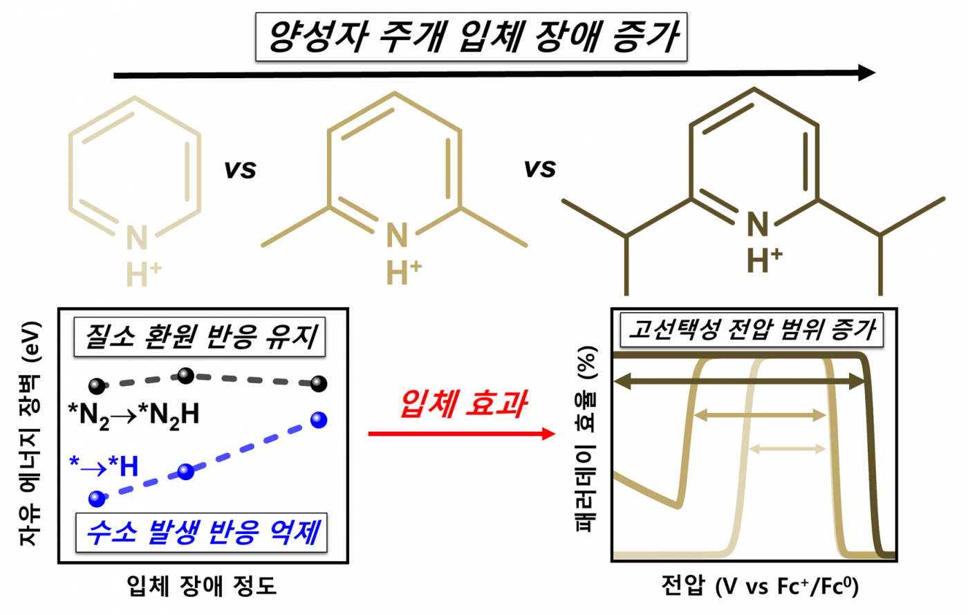 이미지(국문)3