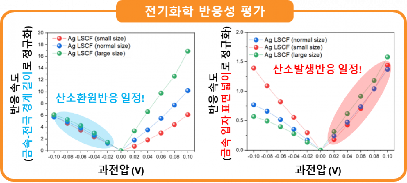 이미지3